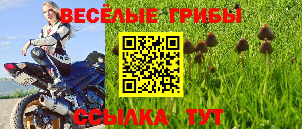 Псилоцибиновые грибы Psilocybine cubensis  Галлюциногенные грибы Cubensis  Азов  Вход с VPN 